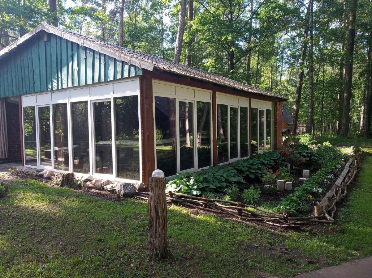 Asmonu Poilsiaviete Villa Kinty Buitenkant foto
