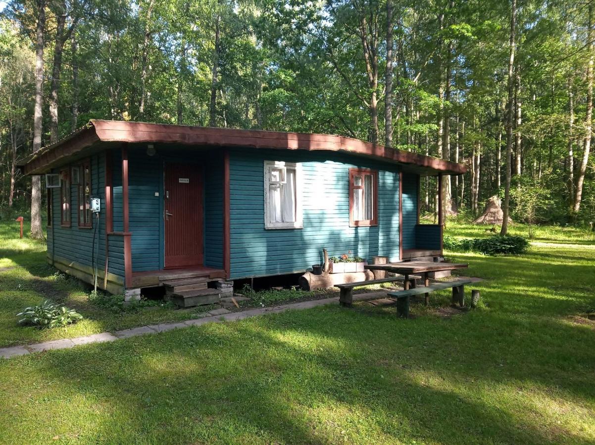Asmonu Poilsiaviete Villa Kinty Buitenkant foto
