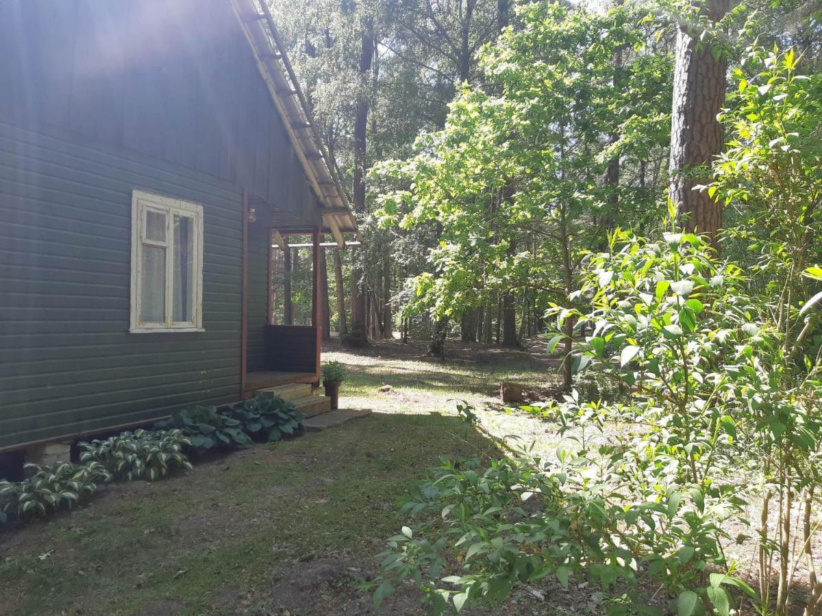 Asmonu Poilsiaviete Villa Kinty Buitenkant foto