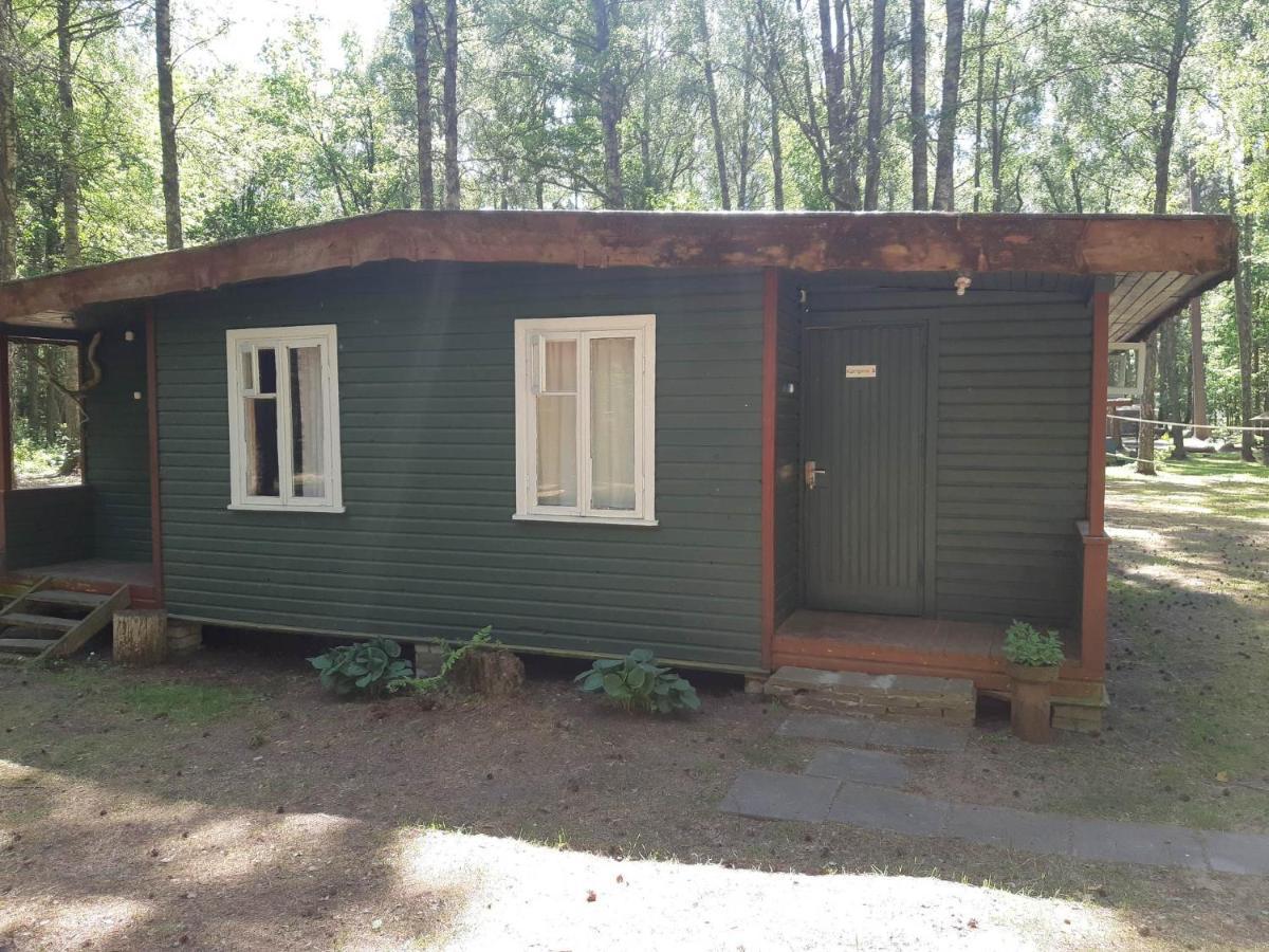 Asmonu Poilsiaviete Villa Kinty Buitenkant foto