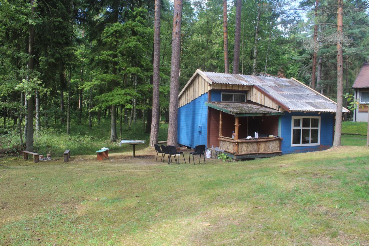Asmonu Poilsiaviete Villa Kinty Buitenkant foto