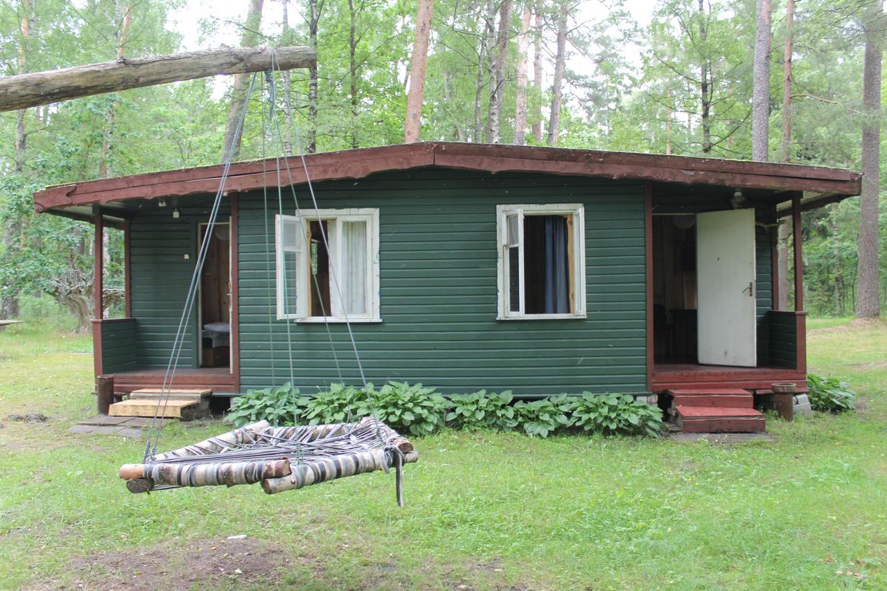 Asmonu Poilsiaviete Villa Kinty Buitenkant foto