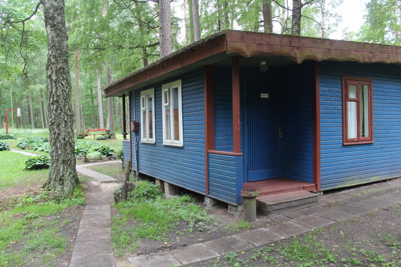 Asmonu Poilsiaviete Villa Kinty Buitenkant foto